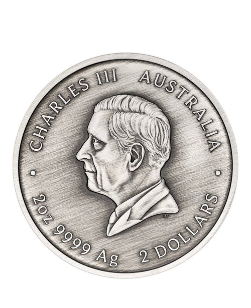 PERTH MINT TURTLE YAUNATI 2026 2OZ SILVER ANTIQUED COLOURED COIN