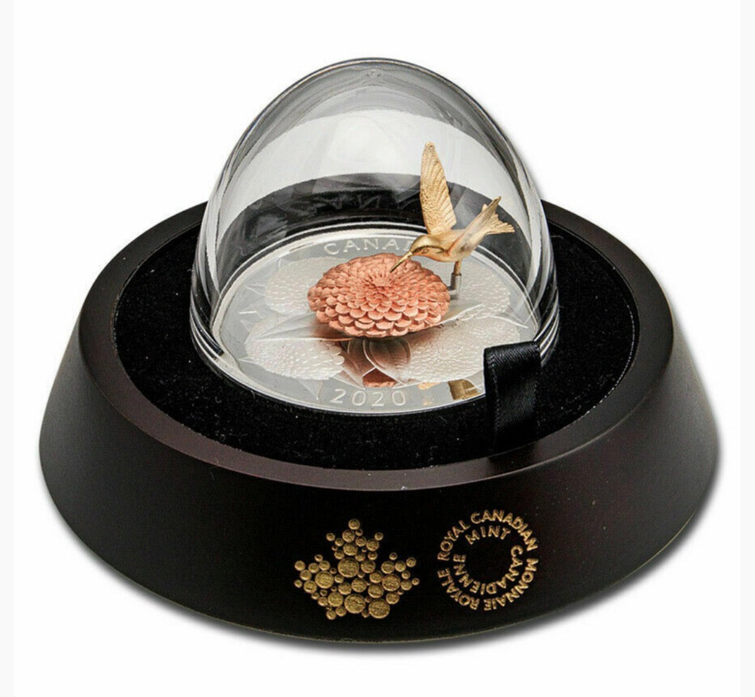 2020 5oz Silver - The Hummingbird and the Bloom - Silver and Gold Plated Coin Interactive coin! Mintage: 1,250