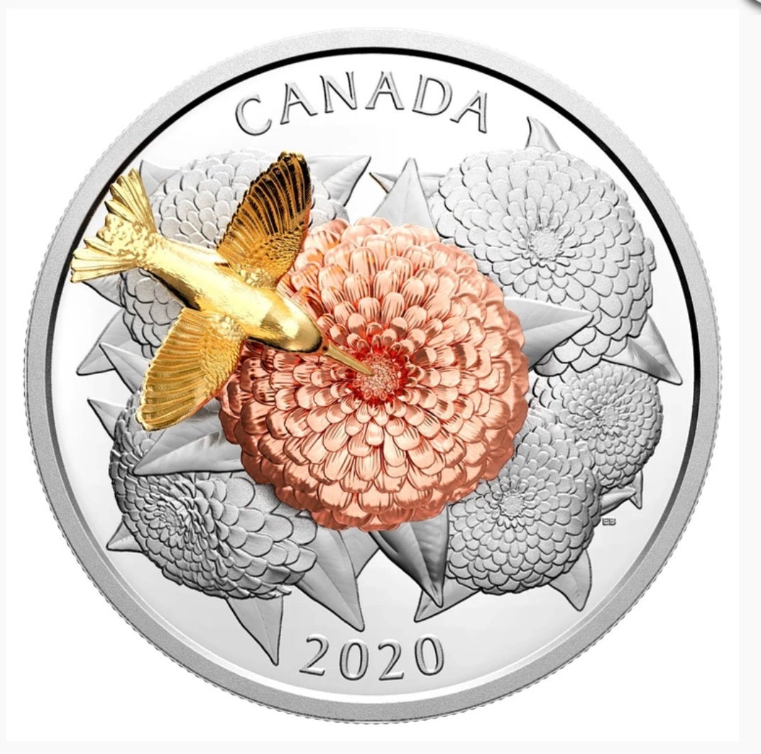 2020 5oz Silver - The Hummingbird and the Bloom - Silver and Gold Plated Coin Interactive coin! Mintage: 1,250