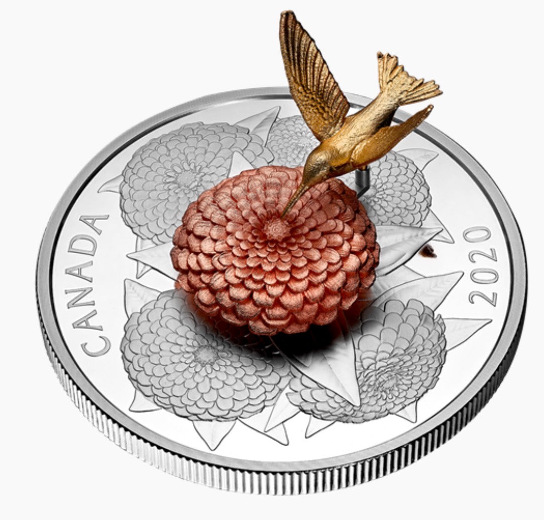2020 5oz Silver - The Hummingbird and the Bloom - Silver and Gold Plated Coin Interactive coin! Mintage: 1,250